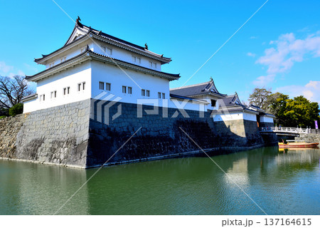 静岡県 駿府城の風景 静岡県 駿府城の風景 137164615