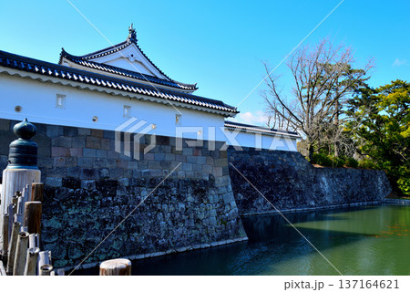 静岡県　駿府城の風景 137164621