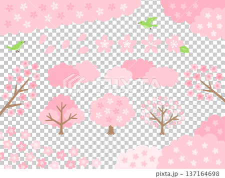 Cherry blossom and tree decoration illustration set Cherry blossom and tree decoration illustration set 137164698