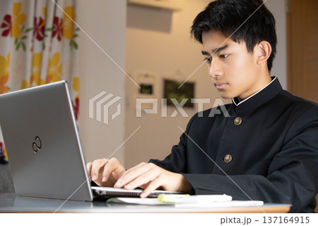 勉強する男子学生 137164915