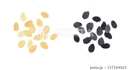 白ごま 黒ごま 白ごま 黒ごま 137164925