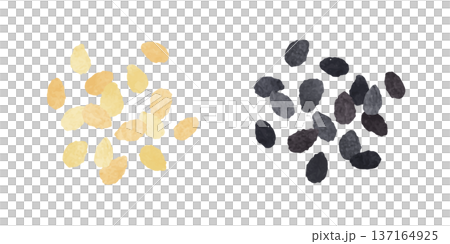 白ごま 黒ごま 白ごま 黒ごま 137164925