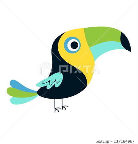 toucan bird isolated 137164967