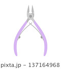 nail nipper isolated 137164968