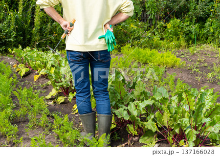 Female gardener tending vibrant vegetable patch with tools and gloves in lush greenery Female gardener tending vibrant vegetable patch with tools and gloves in lush greenery 137166028