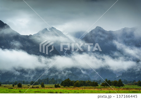 Foggy mountain landscape with green meadow in farmland at New Zealand Foggy mountain landscape with green meadow in farmland at New Zealand 137166445