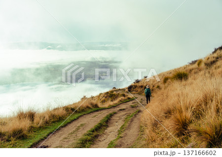 Traveler woman hiking alone mountain trail surrounded by foggy and grass hill on Roys Peak summit Traveler woman hiking alone mountain trail surrounded by foggy and grass hill on Roys Peak summit 137166602