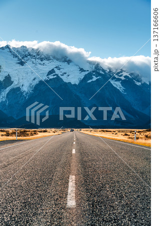 Scenic highway leading to majestic mountain with clear sky and golden field in New Zealand 137166606