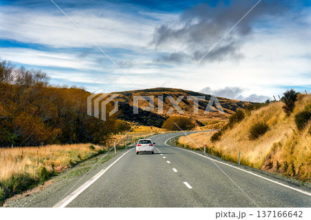 Car driving along winding highway through golden wilderness under blue sky in New Zealand Car driving along winding highway through golden wilderness under blue sky in New Zealand 137166642