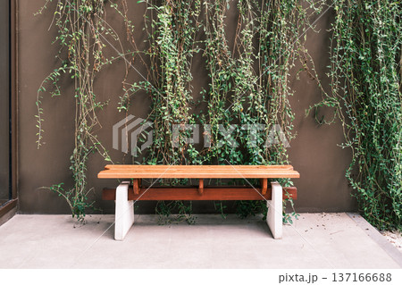 Wooden bench stands against a lush ivy wall 137166688