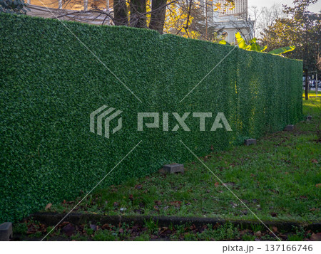 Green fence around a construction site. Decorative grass on the fence. Artificial grass Green fence around a construction site. Decorative grass on the fence. Artificial grass 137166746