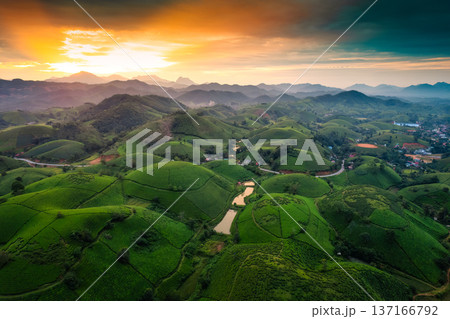 Sunset over Long Coc tea hill in agricultural field at Vietnam Sunset over Long Coc tea hill in agricultural field at Vietnam 137166792