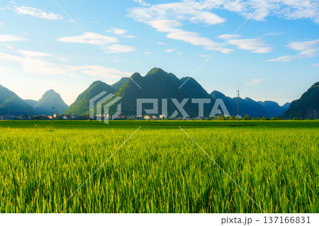 Lush green field with mountain and rural village under blue sky in countryside Lush green field with mountain and rural village under blue sky in countryside 137166831