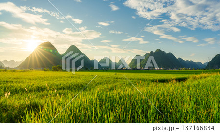 Sunset shining over Bac Son Valley with lush mountain, rice field and farmer in countryside Sunset shining over Bac Son Valley with lush mountain, rice field and farmer in countryside 137166834