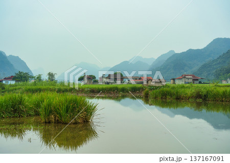 Rustic village with rice fields, mountain and pond reflection in countryside Rustic village with rice fields, mountain and pond reflection in countryside 137167091