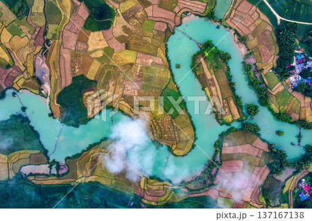 Winding river among the rice paddy field in countryside at Phong Nam Valley Winding river among the rice paddy field in countryside at Phong Nam Valley 137167138