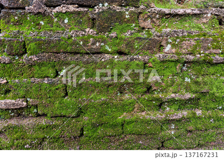 Moss covered weathered old stone brick wall texture Moss covered weathered old stone brick wall texture 137167231