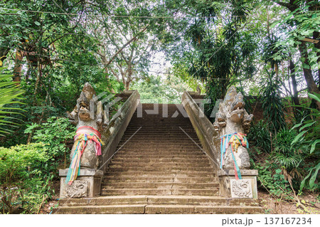 Ancient naga staircase in lush forest at Wat Umong, Chiang Mai 137167234