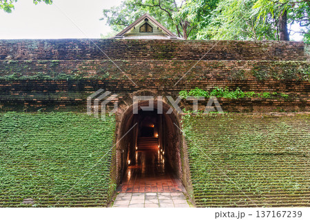 Historic ancient brick tunnel with moss covered wall at Wat Umong, Chiang Mai Historic ancient brick tunnel with moss covered wall at Wat Umong, Chiang Mai 137167239
