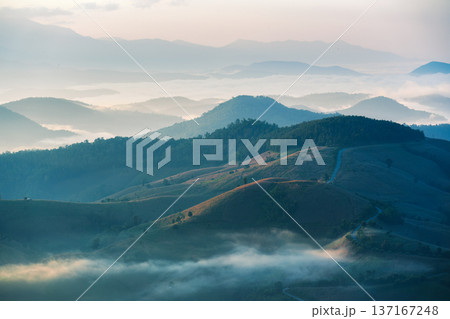Beautiful foggy mountain on tropical highland in countryside 137167248