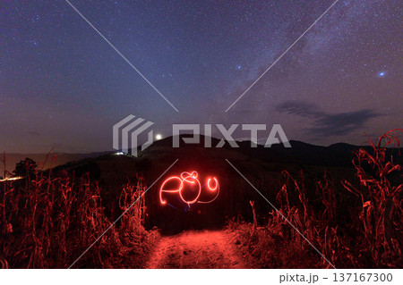 Light painting under starry night sky on mountain of cornfield with milky way glowing in countryside 137167300
