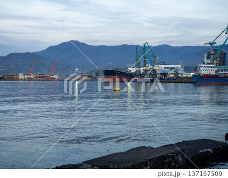 Port area on the Black Sea in winter. Sea cityscape at dusk. Batumi seaport. Industrial zone. 137167509