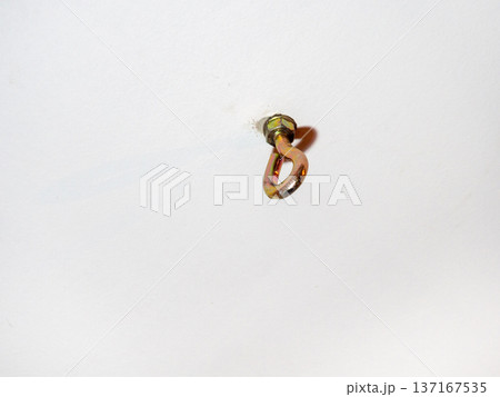 hammock hook on a white ceiling. Metal mount on the ceiling. Reliable fastening. 137167535