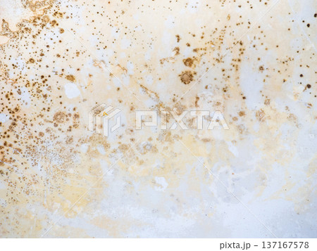 Brown mold on white bathroom enamel. Bacteria house concept Brown mold on white bathroom enamel. Bacteria house concept 137167578