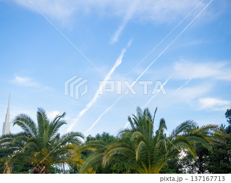 Traces in the sky from airplanes over palm trees. Condensation trail. Airplane flight concept. 137167713