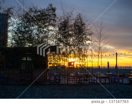 Restaurant on the seashore at sunset. sea coastal landscape. Restaurant at the resort. A thatched hut surrounded by bamboo. Restaurant on the seashore at sunset. sea coastal landscape. Restaurant at the resort. A thatched hut surrounded by bamboo. 137167763