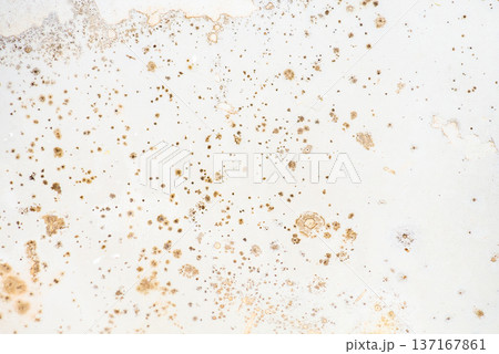 Mold on the surface of the bathroom. Dark mold close-up on bathroom enamel. Dirty white surface. 137167861