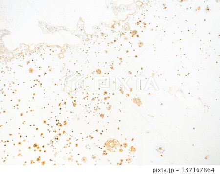 Mold on the surface of the bathroom. Dark mold close-up on bathroom enamel. Dirty white surface. The concept of the appearance of bacteria. 137167864