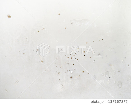 Mold on the surface of the bath.  Dark mold close-up on bath   enamel. Dirty white surface. 137167875