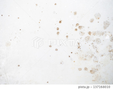 Mold on the enamel in the bathroom. Mold spores in the bathroom. Black dots on a white background. The problem of everyday life. The need for a cleaning product. 137168010
