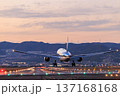 大阪国際空港(伊丹空港)の滑走路への航空機着陸　夕景 137168168