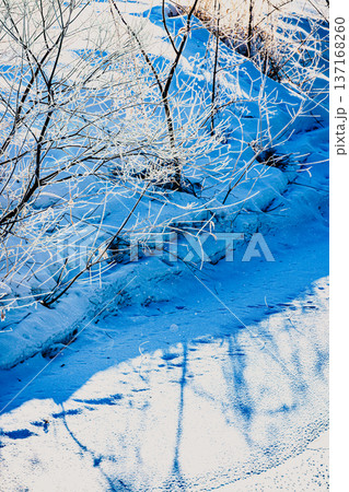 氷点下の朝にきらめくダイヤモンドダストと樹木の影 氷点下の朝にきらめくダイヤモンドダストと樹木の影 137168260