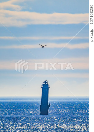 鳥が舞う貝殻島灯台と朝のオホーツク海の静寂 137168286