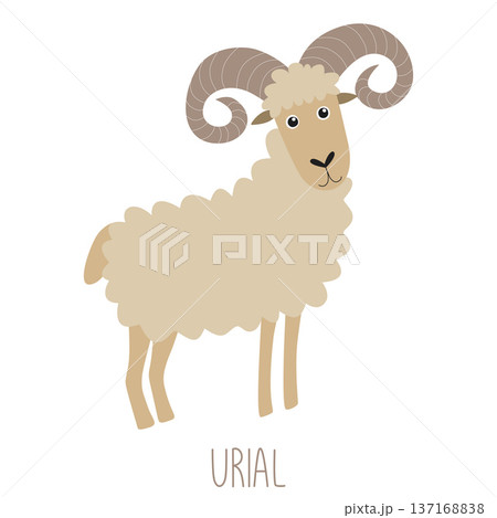 Urial wild sheep animal standing cartoon vector 137168838