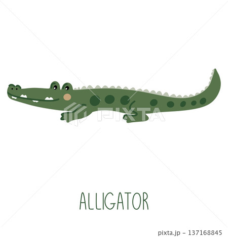 Green alligator cartoon character drawing for kids Green alligator cartoon character drawing for kids 137168845