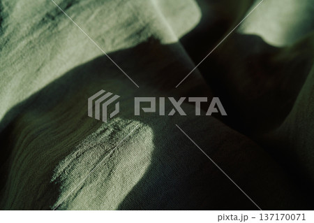 Green linen fabric texture showing folds and shadows 137170071