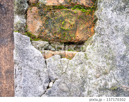 Brickwork breaks through under the cement. Background from an old wall and moss. Mold and moss on the wall. Part of an old house. 137170302