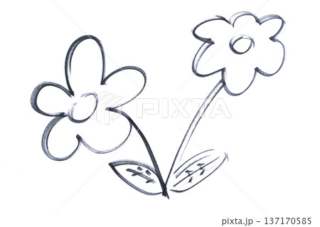two flowers drawn with a black marker 137170585