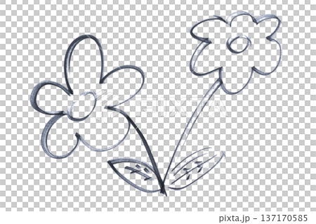 two flowers drawn with a black marker 137170585