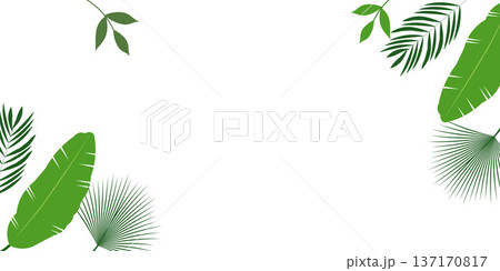 Tropical Green Leaves Background with Copy Space Natural Botanical Design Tropical Green Leaves Background with Copy Space Natural Botanical Design 137170817