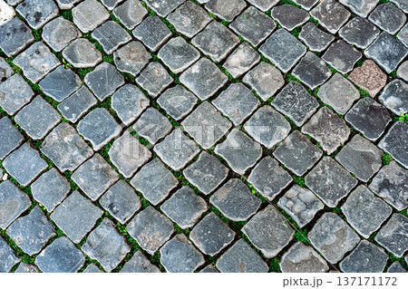 Cobblestone pathway with grass growing between stones in a city setting Cobblestone pathway with grass growing between stones in a city setting 137171172
