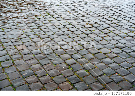 Rain dampens a cobblestone street and reveals green moss in a quiet area of a city 137171190
