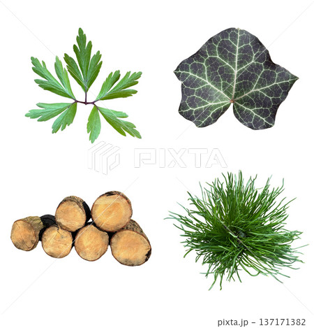 Isolated natural elements collage including leaves, wood logs, grass 137171382