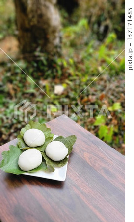 皿に盛られた端午の節句の和菓子 柏餅三つ 皿に盛られた端午の節句の和菓子 柏餅三つ 137171485