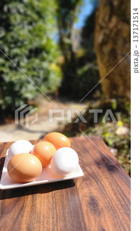 白い皿に乗った新鮮な鶏卵　五つ 137171514