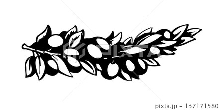 Vector drawing. Olive branch with fruits Vector drawing. Olive branch with fruits 137171580